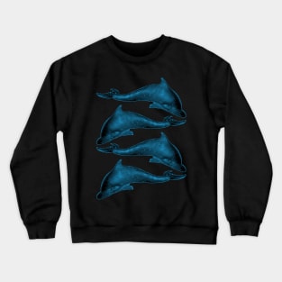 Greek Roman Etruscan Dolphin from bronze sculpture Crewneck Sweatshirt